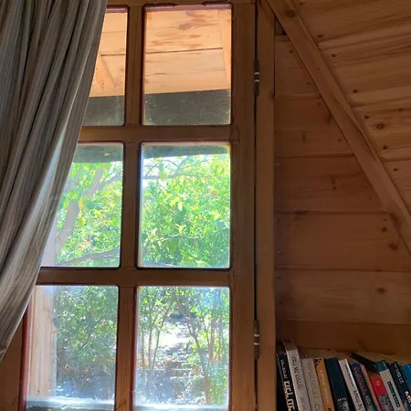 בקתת עץ בחורש במנות - דום גיאודזי - Wooden Cabin In Manot Exterior photo